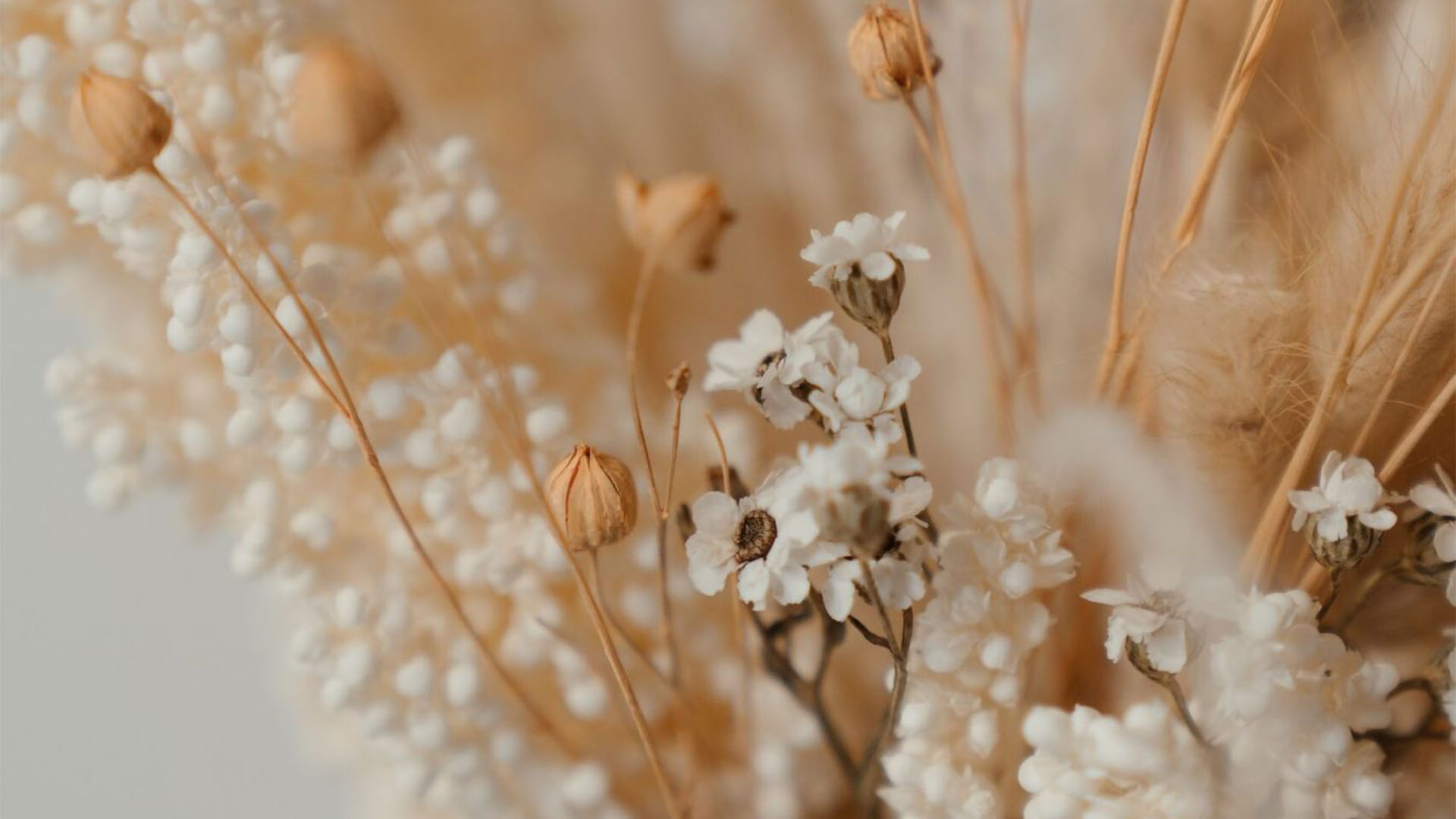 jewelry store decoration flower decoration